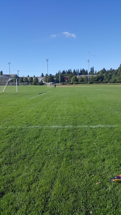 Soccer Field image 1