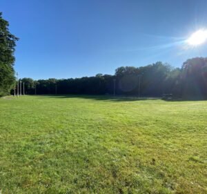 Soccer Field image 2