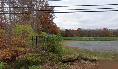 Soccer Field image 1