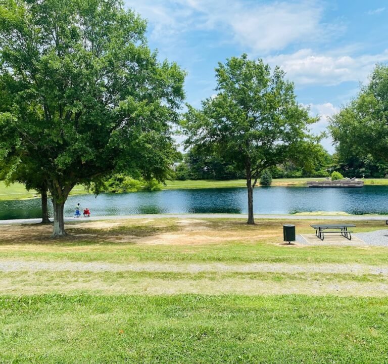 Soccer Field image 2