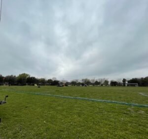Soccer Field image 2