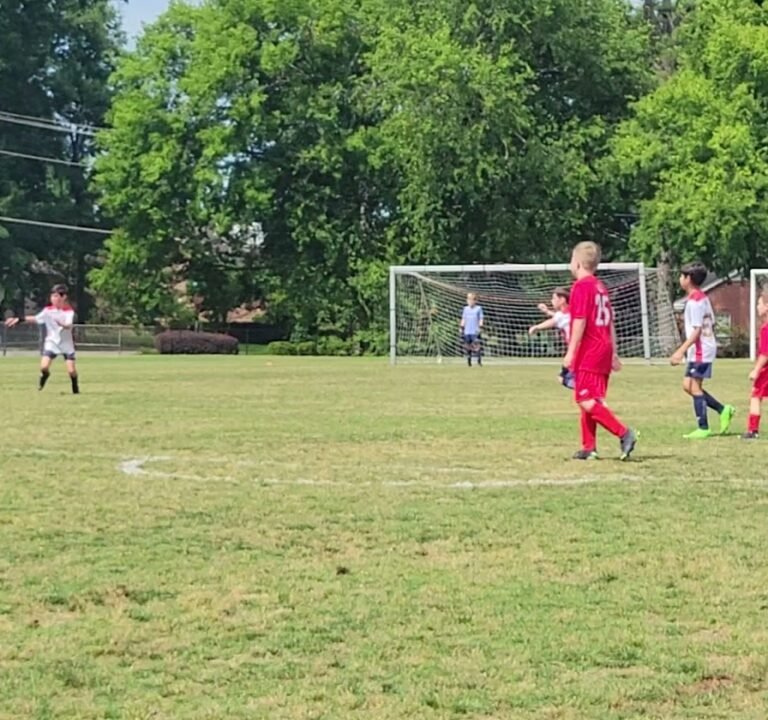 Soccer Field image 2