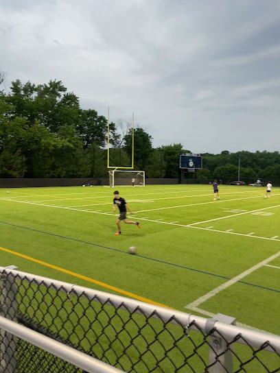 Soccer Field image 1