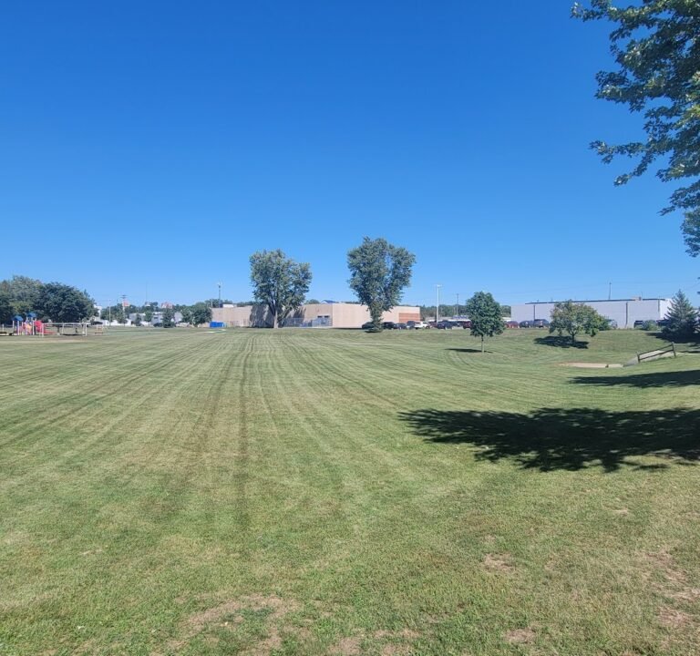 Soccer Field image 2