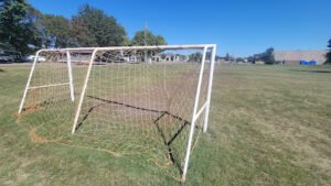Soccer Field image 1