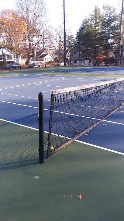 Soccer Field image 1