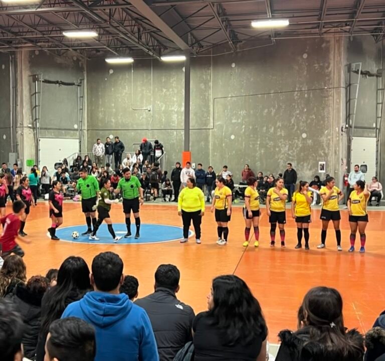 Soccer Field image 3