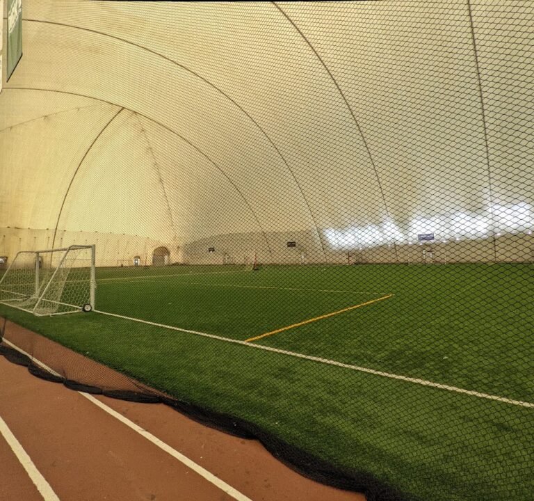 Soccer Field image 3