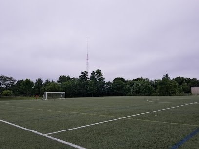 Soccer Field image 1