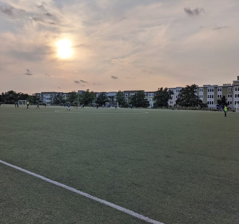 Soccer Field image 2