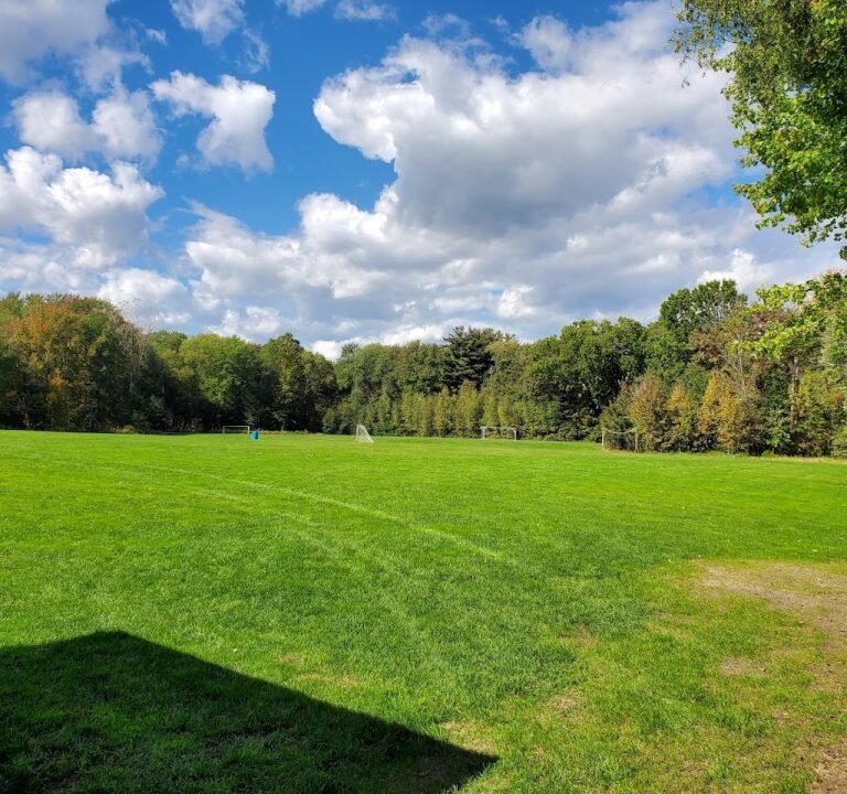 Soccer Field image 2