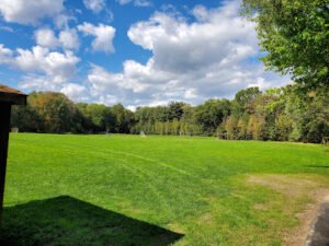 Soccer Field image 1