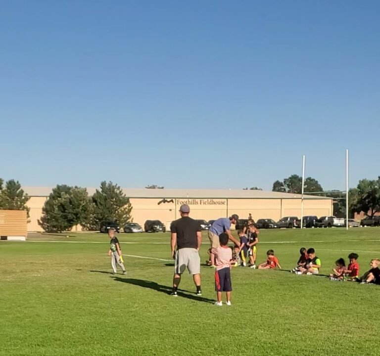 Soccer Field image 4