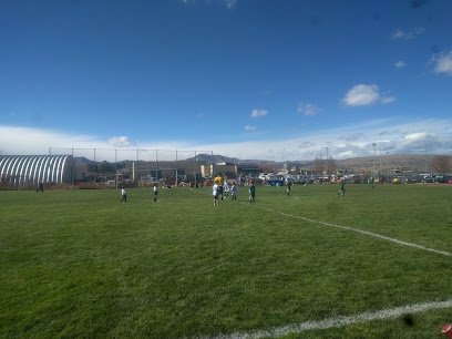 Soccer Field image 1
