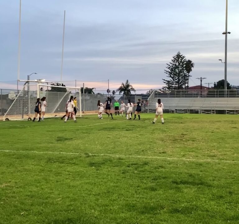 Soccer Field image 4