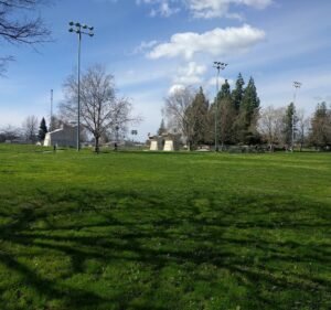 Soccer Field image 2