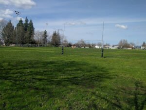 Soccer Field image 1