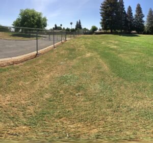 Soccer Field image 3