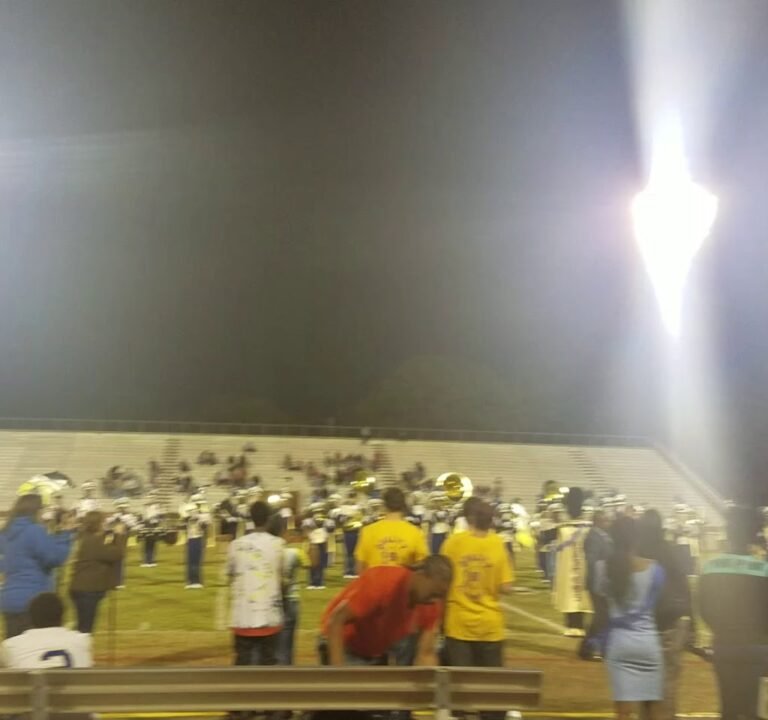 Soccer Field image 3