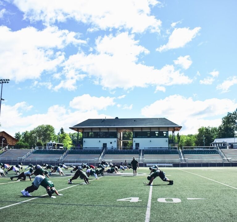 Soccer Field image 2