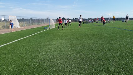Soccer Field image 1
