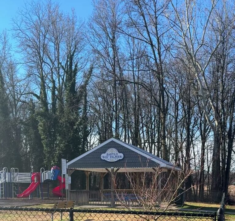 Soccer Field image 3