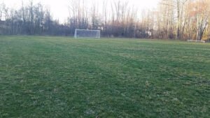 Soccer Field image 1