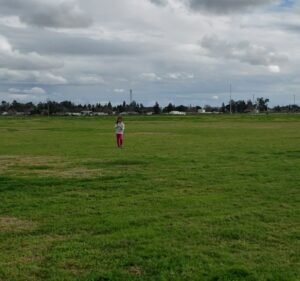 Soccer Field image 4