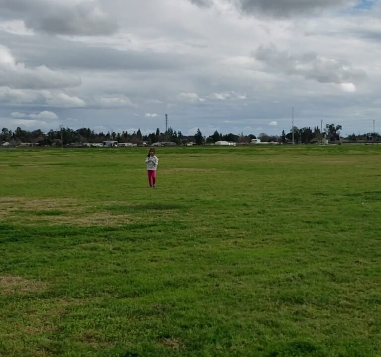 Soccer Field image 4