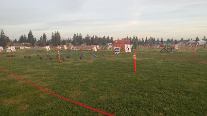 Soccer Field image 1