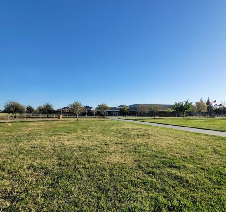 Soccer Field image 2