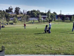 Soccer Field image 1