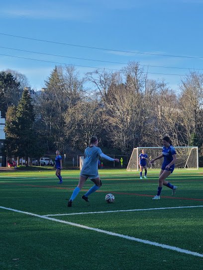 Soccer Field image 1