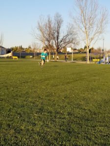 Soccer Field image 1