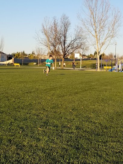 Soccer Field image 1