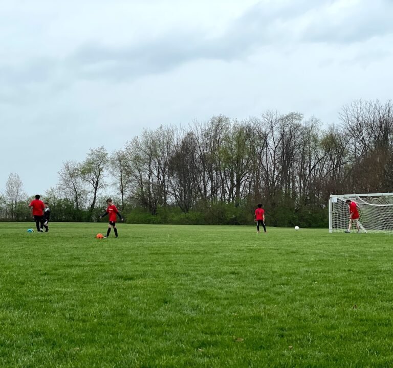 Soccer Field image 3