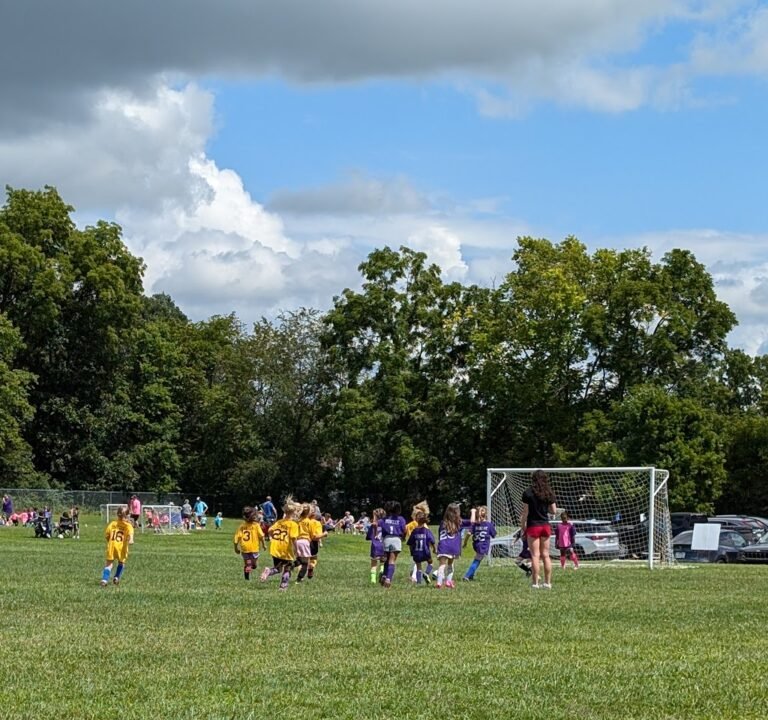 Soccer Field image 2