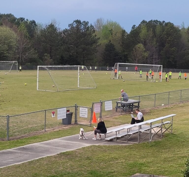 Soccer Field image 2