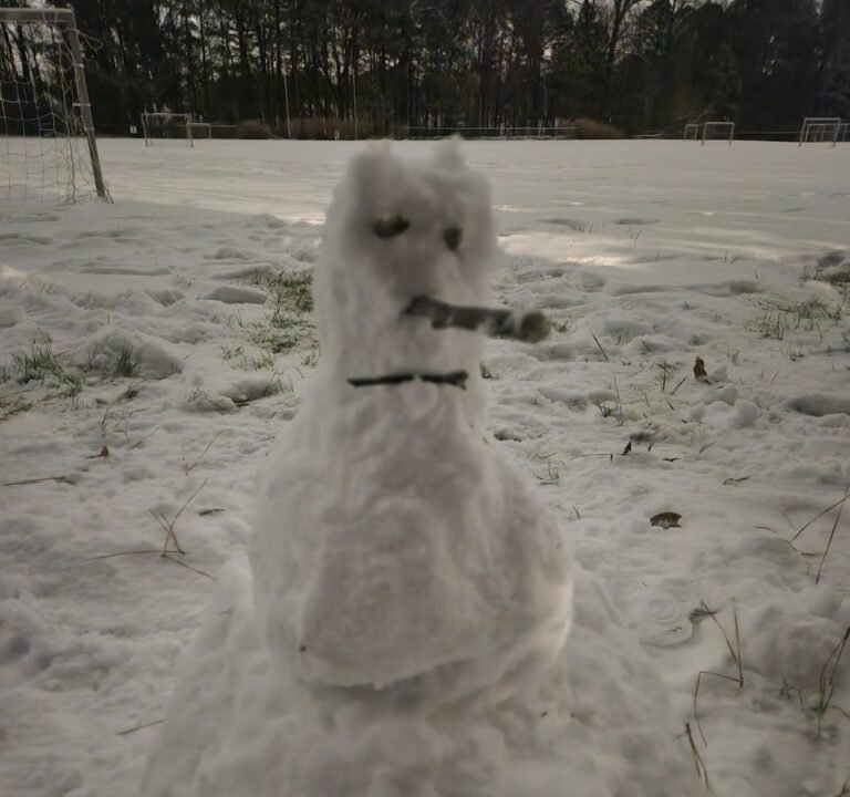 Soccer Field image 3