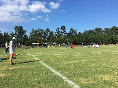 Soccer Field image 1