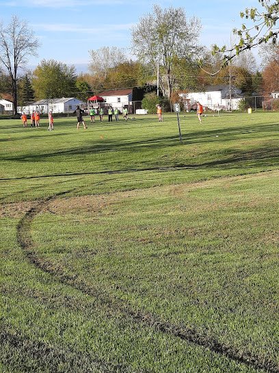 Soccer Field image 1