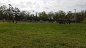 Soccer Field image 1