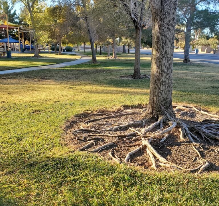 Soccer Field image 2
