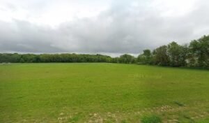 Soccer Field image 1