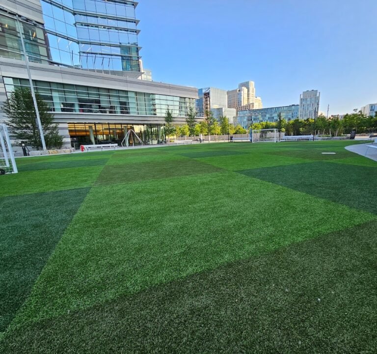 Soccer Field image 2