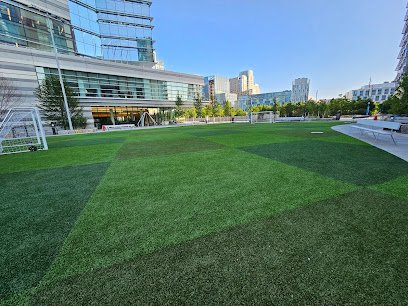 Soccer Field image 1