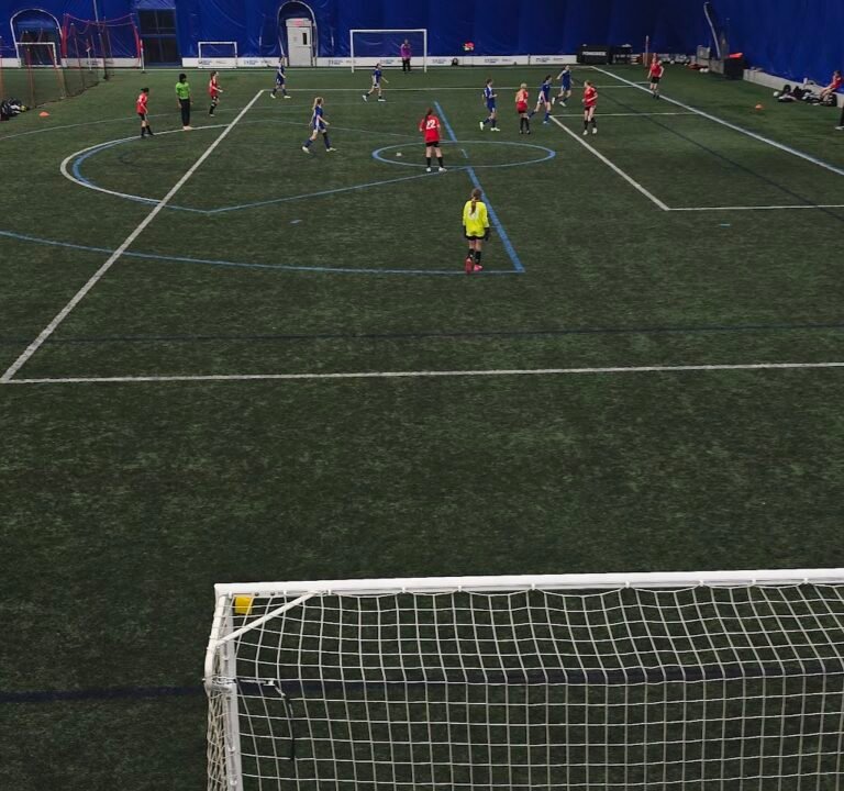 Soccer Field image 3