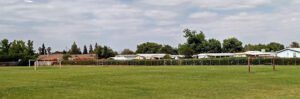 Soccer Field image 1