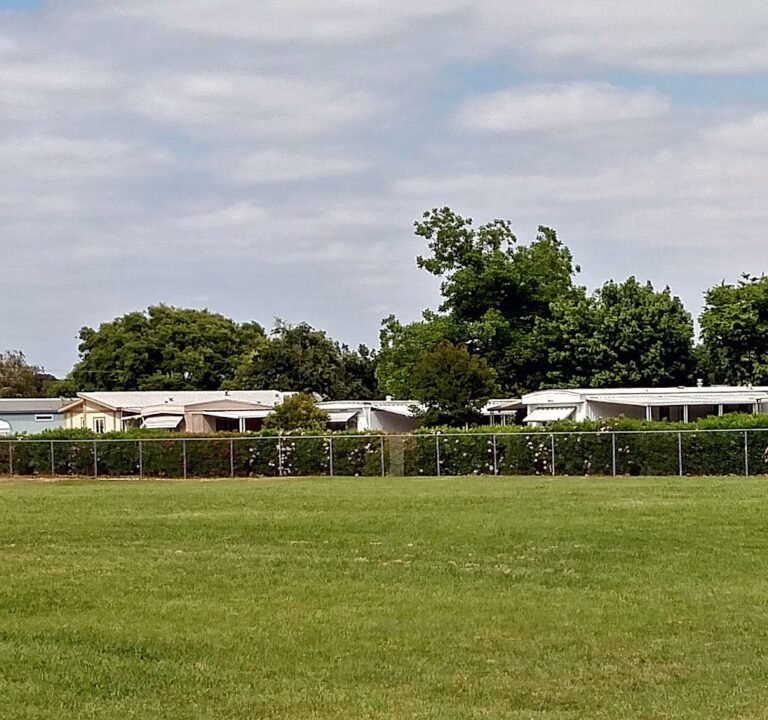 Soccer Field image 2