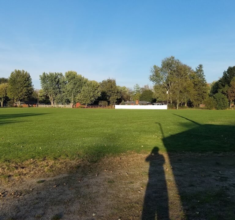 Soccer Field image 2